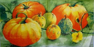 047 Kürbis - 3-ply (grün) - Ihr